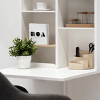 74955281